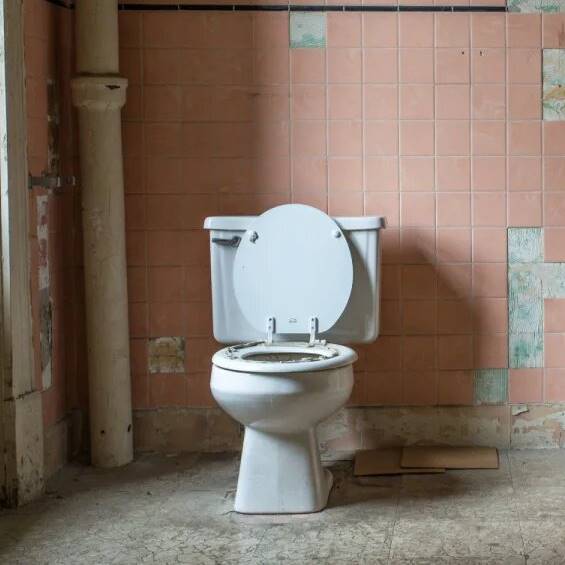 toiletresize